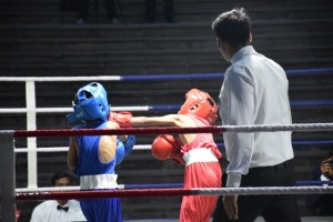 Boxing 2018 48