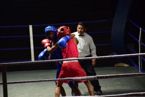 Boxing 2018 62