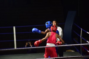 Boxing 2018 63