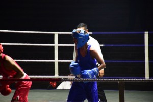 Boxing 2018 66