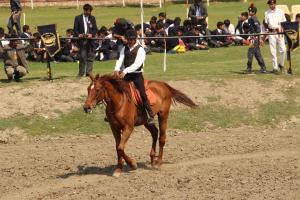 Equestrian Dispaly 2019 6